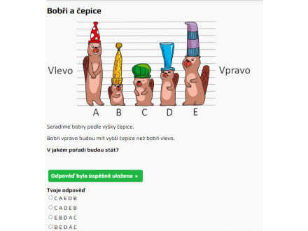 Bobřík informatiky